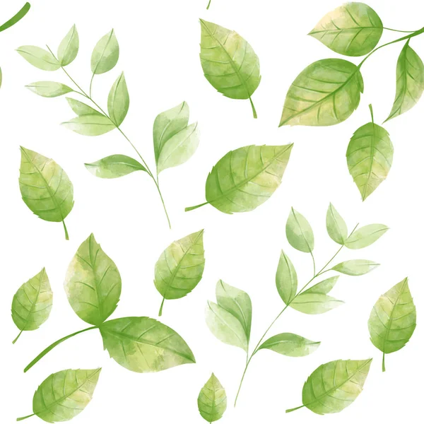 Folhas Verdes Padrão Rosas Clipart Aquarela Desenho Mão Ilustração Botânica — Fotografia de Stock