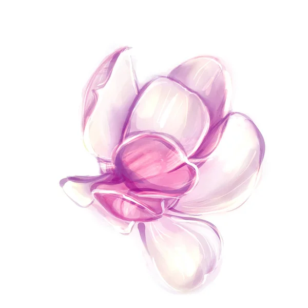 Image Une Branche Magnolia Fleurs Illustration Aquarelle Tiré Main Isolé — Photo
