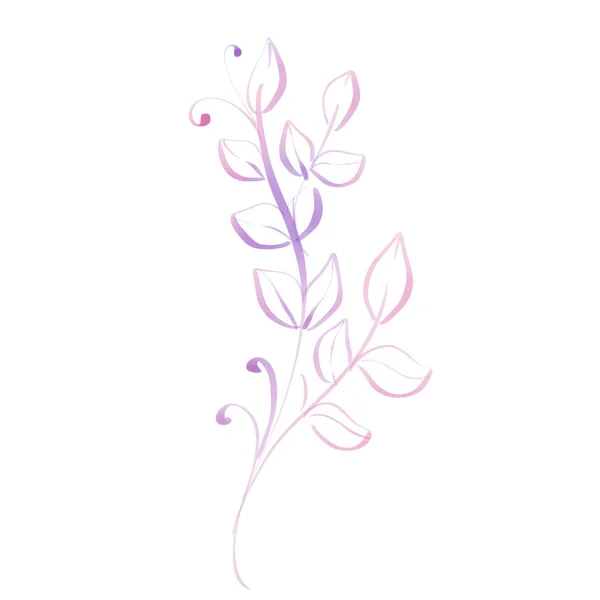 Elementos Doodle Rosa Com Folhas Linha Desenhada Mão Para Ornamentos — Fotografia de Stock