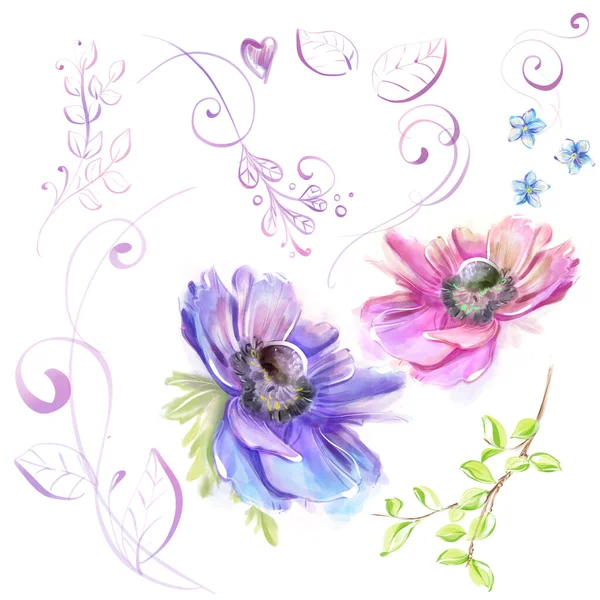 Set Illustrations Watercolor Style Anemones Decorative Pattern Elements Doodle Pink — Stock Photo, Image
