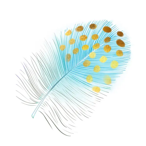 蓝色羽毛插图 柔软而下垂的鸟毛 手绘元件用于包装 图标设计 轻盈的象征 与白种人隔离 — 图库照片