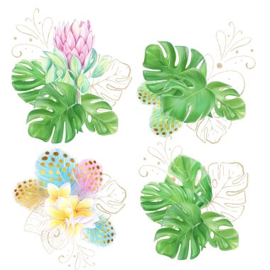 A set of watercolor illustrations, bouquets with colorful feathers and frangipani. Pink protea. Tropical flowers and monstera leaves. Hawaiian design. Exotic clipart. Luxury decor for invitations. clipart