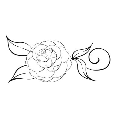 Gül aranjmanı. Yapraklı romantik bahar çiçeği deseni, klasik tarz. Grafik vektör çizgisi, el çizimi, kriket için siyah siluet. Tasarım, logo, kartpostallar, düğün, tekstil için