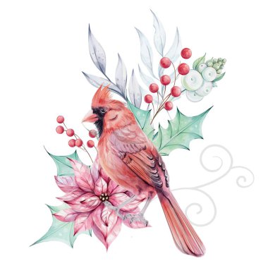 Suluboya Noel kuşu. Brunch, kırmızı böğürtlen ve kırmızı noktalı çiçek buketiyle kırmızı kardinal. Kutsal yeşil yapraklar. İzole edilmiş. Noel 'in sembolü. Eski moda bir kış tatili dekorasyonu.