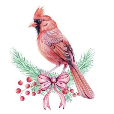 Suluboya Noel kuşu, kırmızı kardinal, brunch, kırmızı böğürtlen ve yay, izole. Noel 'in sembolü. Eski moda bir kış tatili dekorasyonu. El çizimi çizimi. Vektör klipsi sanatı