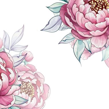 Yumuşak pembe ve beyaz renkli şakayıklar zarif bir şekilde çiçek açar, yemyeşil yapraklarla çevrili ve sakin bir bahar havası uyandırır..