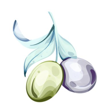 Narin suluboya çizimler zeytin ve zeytin yağının özünü yakalıyor ince bir dalda iki farklı zeytin sergiliyor. Her eşsiz zeytin zengin renklerle doğal güzelliğini yansıtır.