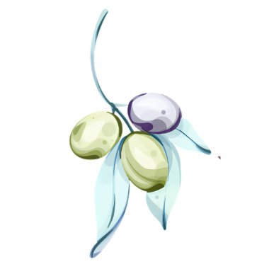 Canlı suluboya çizimi, doğanın güzelliğini ve zenginliğini vurgulayan ince yapraklı bir zeytin kümesini tasvir ediyor. Bu sanat eseri İtalyan mutfağındaki zeytinlerin önemini yansıtıyor.