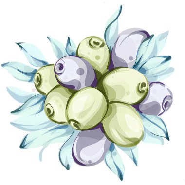 Canlı bir suluboya illüstrasyonunda, ince yaprakların arasına yerleştirilmiş zeytin çeşitleri, zengin renkleri ve dokularını ön plana çıkarıyor. Bu sanat eseri İtalyan mutfağının özünü yansıtıyor.