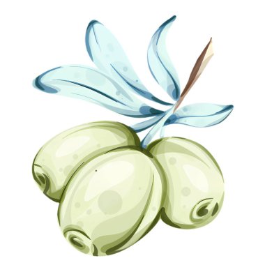 Narin suluboya çizimler zeytin ve zeytinyağının cazibesini yakalayarak güzelliklerini ve İtalyan mutfak gelenekleriyle olan bağlantılarını gözler önüne seriyor. Canlı yeşiller ve yumuşak renkler özünü gösteriyor.