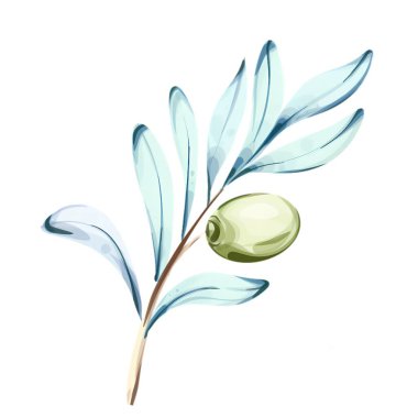 Narin suluboya resimlerinde yumuşak yapraklarla süslenmiş ince bir dalın üzerine tünemiş yeşil bir zeytin sergilenir. Bu sanat eseri doğanın özünü ve İtalyan zenginliğini yansıtıyor.