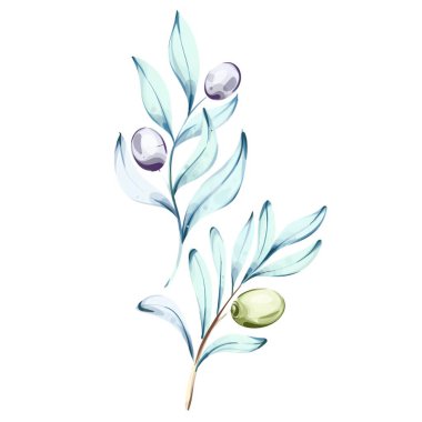 Doğal güzelliklerini sergileyen zeytin ve zeytin yağlarının suluboya resimlerinin sergilendiği çarpıcı bir koleksiyon. Bu sanat eserleri İtalyan mutfağının zengin lezzet ve geleneklerini kutluyor.