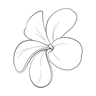 Vektör tüyü çiçeği. Paketleme, etiket, logo ve simge tasarımı için el çizimi ögesi. Işığın sembolü. Siyah devre silueti.