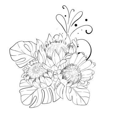 Vektör tropikal bileşimi, bir buket yaratıcı çiçek, proteinler ve egzotik canavar yaprakları. El çizimi grafikler. Siyah devre silueti