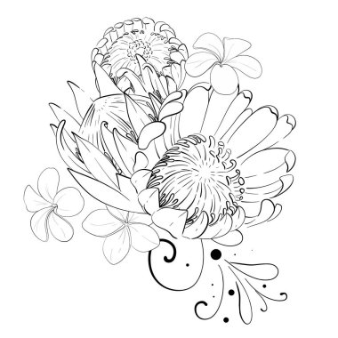 Vektör tropikal bileşimi, bir buket yaratıcı çiçek, proteinler ve egzotik canavar yaprakları. Botanik grafik. Siyah devre silueti