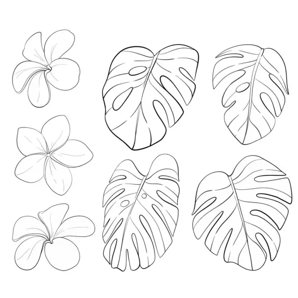 Vektör tropikal klip- canavar yaprakları ve frangipan. Egzotik çiçekler. Siyah devre silueti. Düğün tasarımı için mükemmel, kartlar, baskı