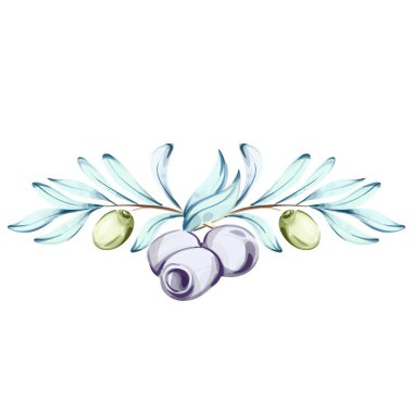 Suluboya çizimlerinde canlı zeytin ve zeytinyağı sergilenir ve İtalyan mutfağındaki önemleri vurgulanır. Renklerin narin karışımı dallardaki zeytinlerin doğal güzelliklerini yansıtır.