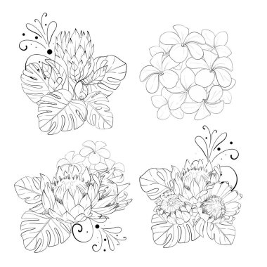 Vektör seti - tropikal kompozisyon, bir buket yaratıcı çiçek, proteinler ve egzotik canavar yaprakları, plumeria. El çizimi grafikler. Siyah devre silueti