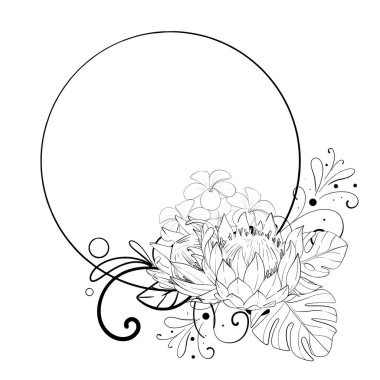 Proteinler, yapraklar ve tesisatlarla tropikal çember çerçevesini yönlendir. Serbest çizim, tasarım karalama elemanı. Siyah devre silueti