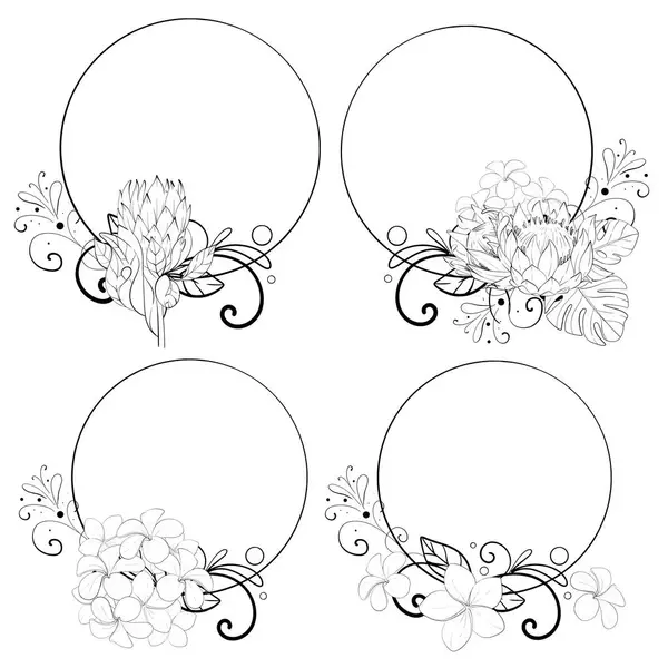 Vektör tropikal set. Proteinler, yapraklar ve tesisatlarla daire şeklinde. Serbest çizim, tasarım karalama elemanı. Siyah devre silueti