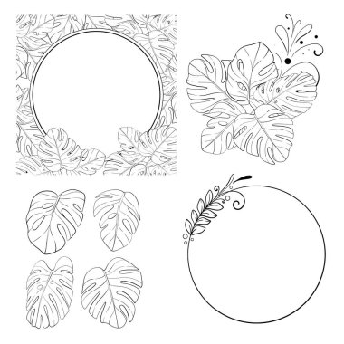 Vektör seti - canavar yapraklı tropikal şablonlar. Egzotik yaz tatilleri. Serbest çizim, düzenlemeler, özgeçmiş. Siyah devre silueti