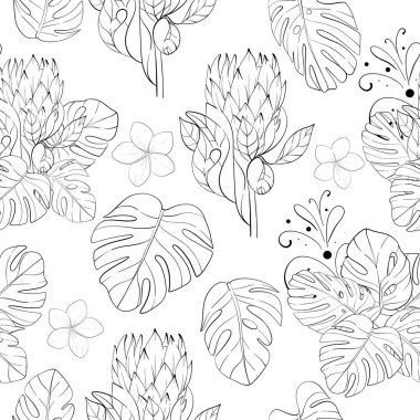 Tropikal protein buketlerinin, canavar yapraklarının ve tesiseriya çiçeklerinin vektörsüz deseni. Yaz botanik geçmişi. Siyah devre silueti