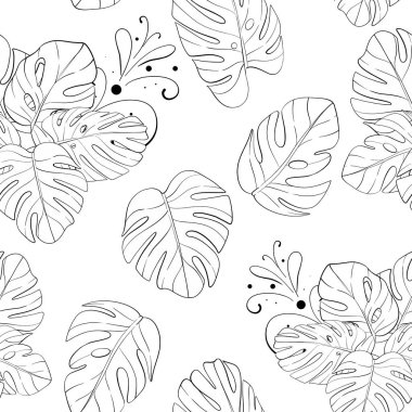 Canavar yapraklı vektör tropikal desen. Grafiksel el çizimi. Yaz botaniği. Geçmişi. Siyah devre silueti