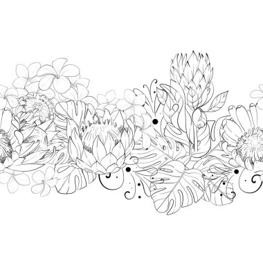 Vektörsüz sınır, düzen. Tropik çiçek kompozisyonu, bir buket proteinler ve egzotik canavar yaprakları, tesisat. El çizimi grafikler. Siyah devre silueti