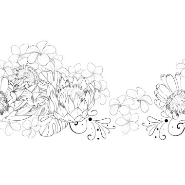 Vektörsüz tropikal sınır, örüntü. Çiçek kompozisyonu, bir buket protein ve egzotik canavar yaprakları, tesisat. El çizimi grafikler. Siyah devre silueti