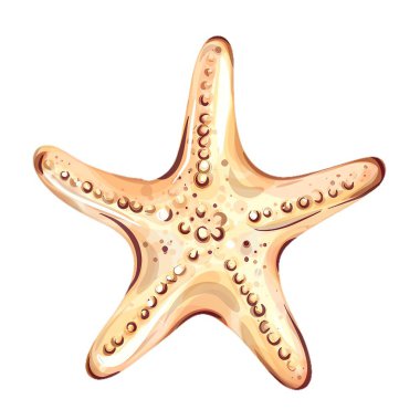 Deniz yıldızlarının cazibesiyle vurgulanan ve güneşlenmek ve eğlenmek isteyen tatilcilere getirdikleri neşeyle vurgulanan kumsaldaki büyüleyici yaz rahatlama dünyasını keşfedin..