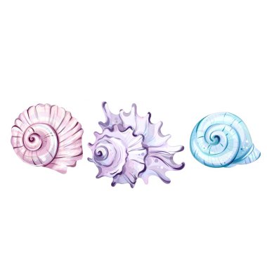 Güzelce hazırlanmış üç deniz kabuğu zarafet, somutlaştırıcı yaz cazibesi ve kıyı maceraları sergiliyor. Plaj temalı rahatlama ve tatil ilhamı arayanlar için ideal..