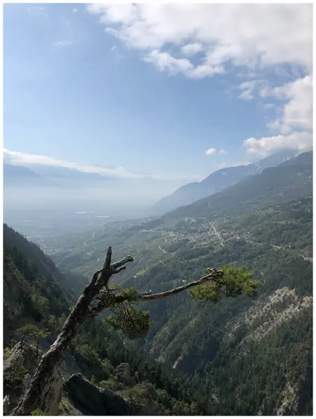 Bisse du Torrent Neuf 'un tepesinden İsviçre Alplerinde bir vadiye ve fotoğrafın kenarında asılı büyük bir ağaç dalına, mavi gökyüzüne ve sisli bir atmosfere bir bakış.