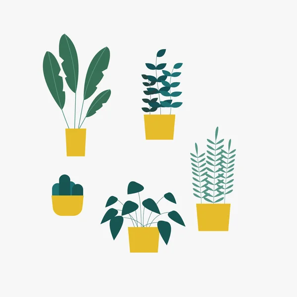 Home Plants Pots — Stock Vector