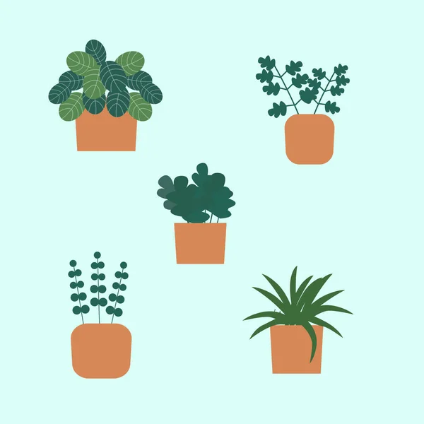 stock vector Home plants in pots