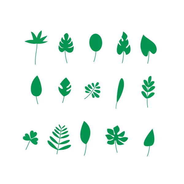 Feuilles Ensemble Illustrations Plates Plantes Arbres Feuilles — Image vectorielle