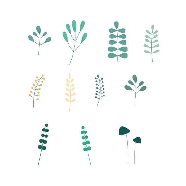 Feuilles Ensemble Illustrations Plates Plantes Arbres Feuilles — Image vectorielle