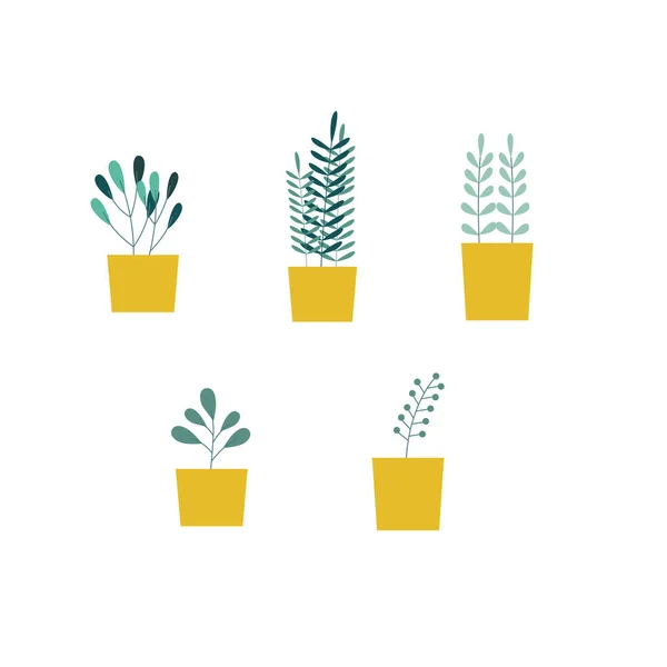 Plantes Accueil Pots — Image vectorielle