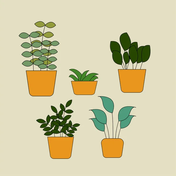 Ensemble Plantes Poussant Pots — Image vectorielle