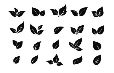 Yeşil yaprak simgeleri seti. Simgeyi bırakır. Ağaç ve bitki yaprakları. Koleksiyon yeşil yaprak