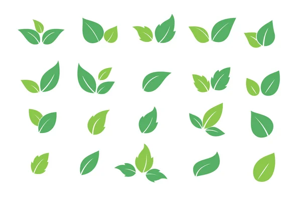 Set Von Grünen Blatt Symbolen Verlässt Das Symbol Blätter Von — Stockvektor