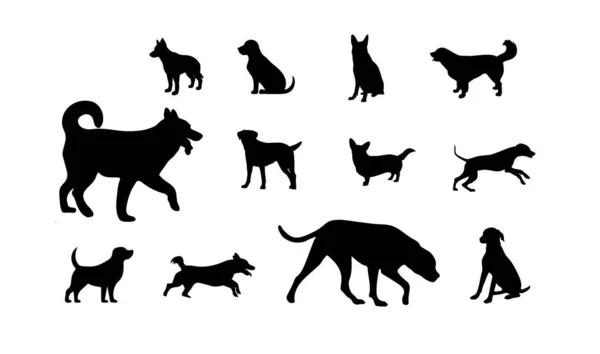 Hondensilhouetten Geïsoleerd Zwart Silhouet Van Honden — Stockvector