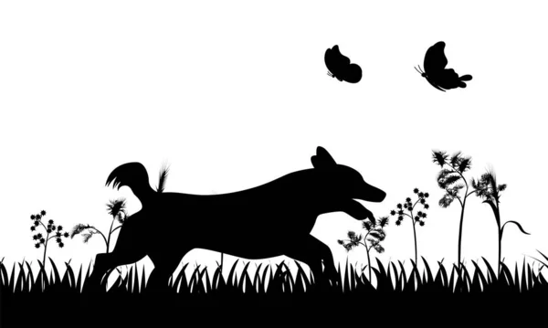 Собака Бабочкой Собакой Бабочками — стоковый вектор