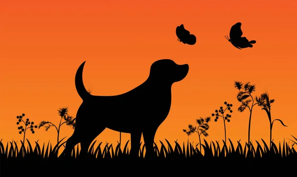 Собака Бабочкой Собакой Бабочками — стоковый вектор