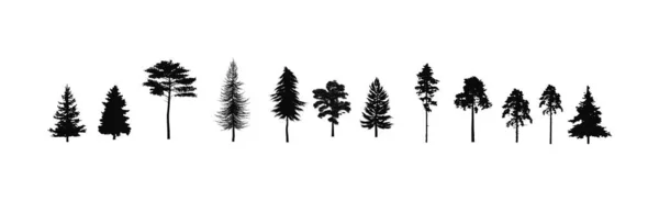 Conjunto Siluetas Pinos Árboles Forestales — Archivo Imágenes Vectoriales
