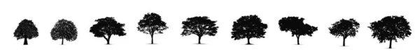 Ağaç Siluetleri Ağacın Vektör Silueti — Stok Vektör