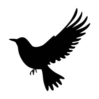 Kuş siluetleri, kuş uçuşu ve ayakta duran siluetler detaylı