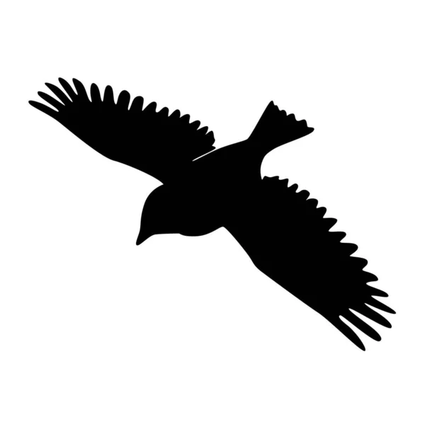 鳥のシルエット 鳥の飛行と立っているシルエットの詳細 — ストックベクタ