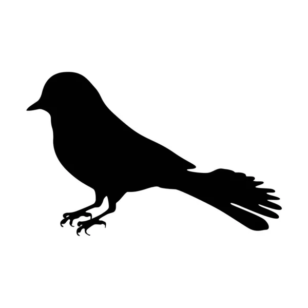 鳥のシルエット 鳥の飛行と立っているシルエットの詳細 — ストックベクタ