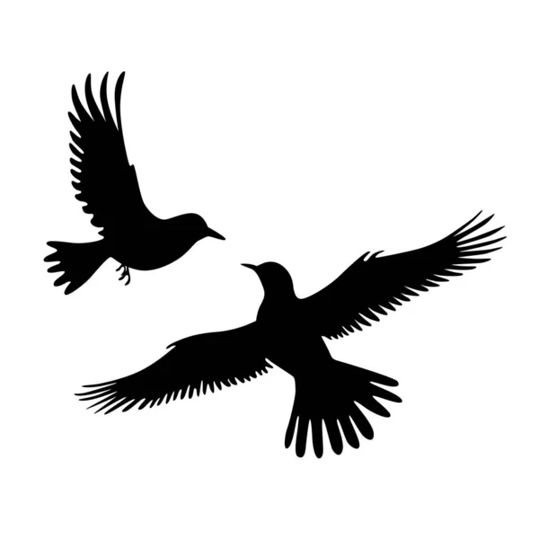 Silhouette Degli Uccelli Volo Degli Uccelli Sagome Piedi Dettagliate — Vettoriale Stock