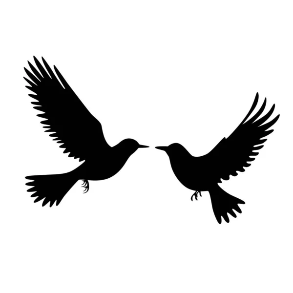 详细的鸟类轮廓 鸟类飞行和站立轮廓 — 图库矢量图片